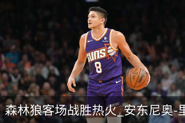 森林狼客场战胜热火 安东尼奥-里夫斯关键投篮锁定胜局